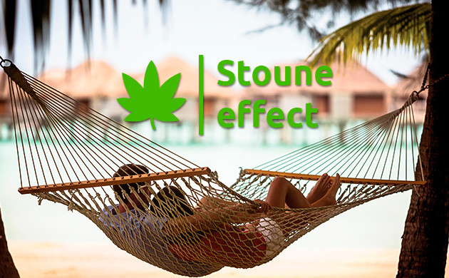Расслабляющий эффект индики Стоун эффект индики
