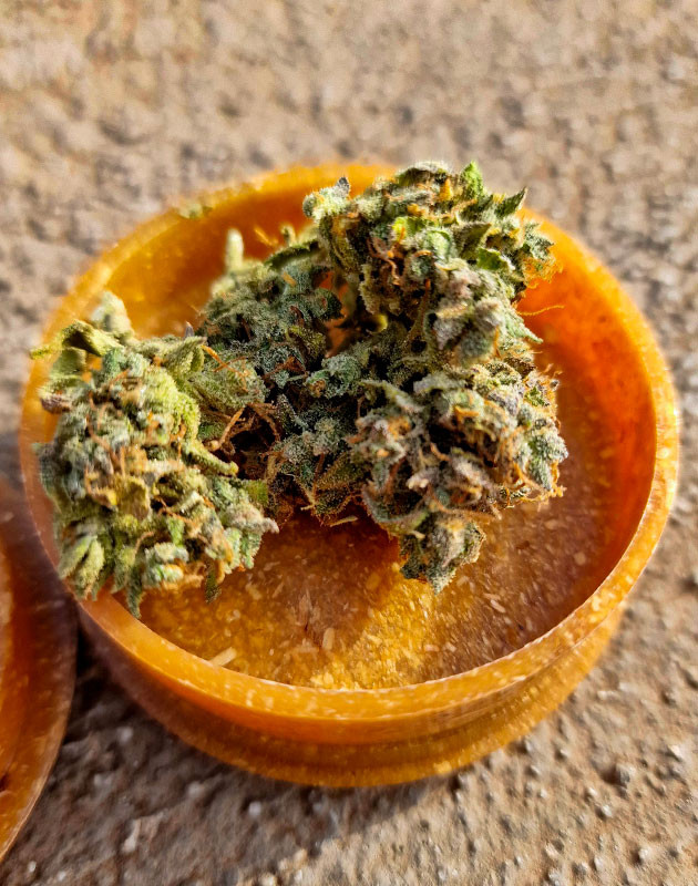 Сбор урожая и впечатления от гровера