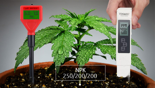 Как подготовить грунт для выращивания конопли Соотношение полезных элементов в почвосмеси