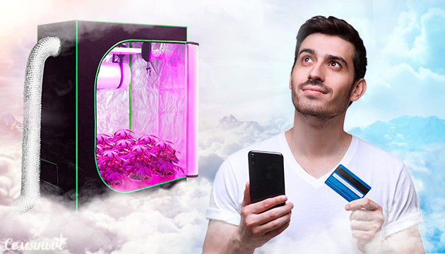 Пройди тест и узнай стоимость гроубокса твоей мечты Тест гроубокс мечты