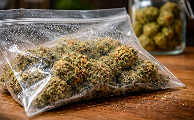 Плюсы и минусы хранения марихуаны в пластиковом пакете Хранение каннабиса в обычном пластиковом пакете