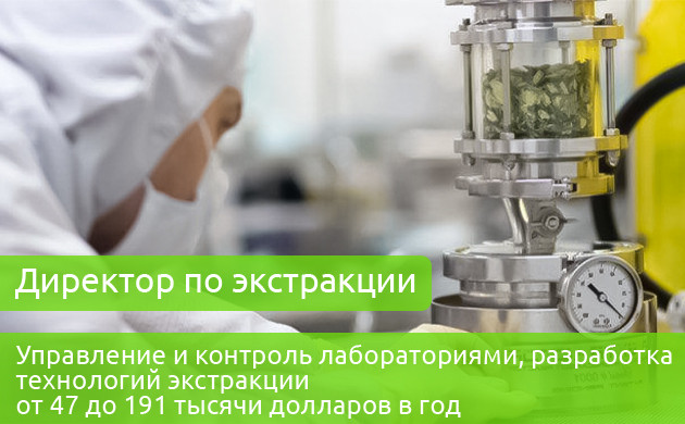 Директор по экстракции Зарплата директора по экстракции 47-191 тыс. долларов