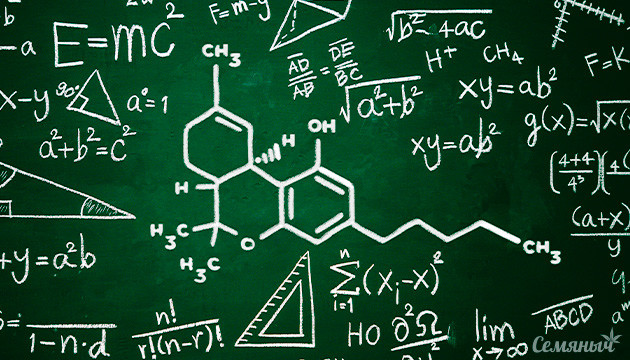 Каннабис и учеба Формула ТГК на доске