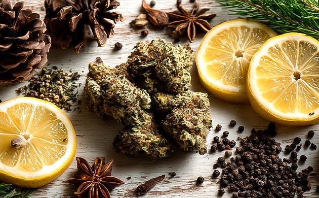 Вкусовой профиль Candy Kush Терпеновый профиль Candy Kush