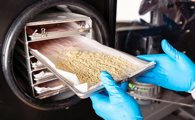 Быстрая сушка бабл хэша с помощью сублимации Сублимационная сушка бабл хэша