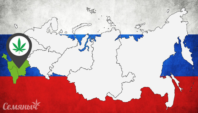 Подборка сортов для выращивания в Южных регионах РФ Сорта для южных регионов РФ