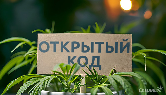 Легализация каннабиса и доступ к данным о генетиках Патентование и доступ к данным о генетиках конопли