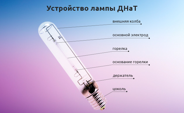Как устроена лампа ДНаТ Схема лапмы ДНаТ
