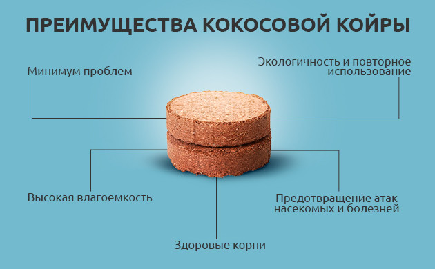 Преимущества кокоса для выращивания конопли Преимущества кокосового субстрата