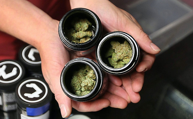 Советы по хранению соцветий конопли Как сохранить качество конопли