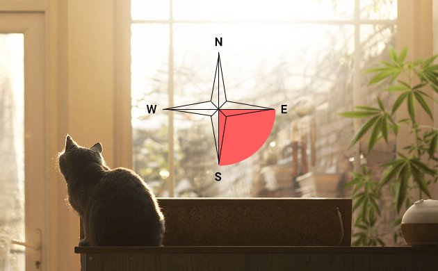 Выбор направления окна Оптимальная юго-восточная сторона