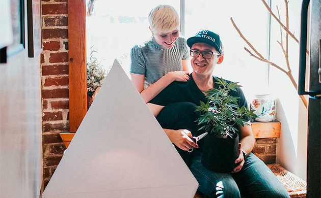 История создания гроусистемы Leaflit История создания гроу-системы Лифит