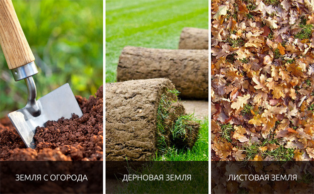 Как самостоятельно подготовить землю для выращивания марихуаны Земля для выращивания конопли