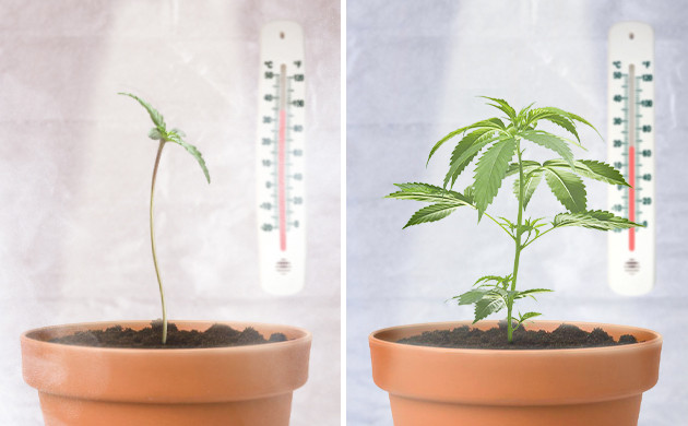 Корректировка температуры Влияние показателей температуры