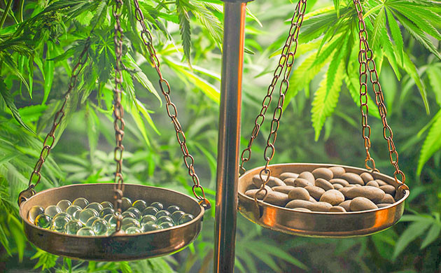 Долговечность и экономичность Стоимость и экономия субстрата