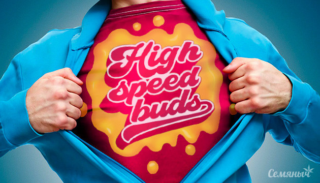Новый сидбанк High Speed Buds High Speed Buds