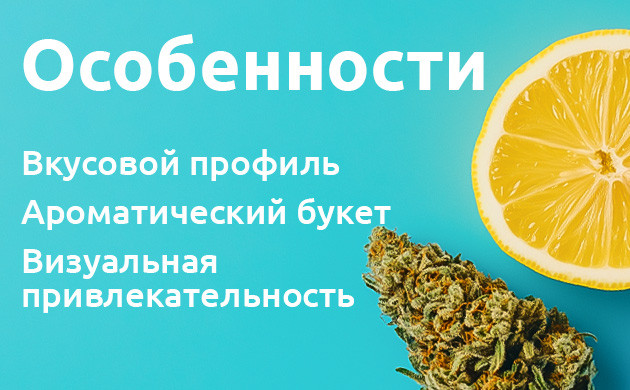 Визуальная привлекательность Lemon Skunk Роль терпенов в Lemon Skunk