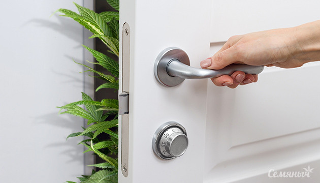 Безопасность гровинга Уровень безопасности