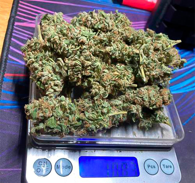 Общие впечатления о грове сорта Northern Lights 10 of 10 Харвест марихуаны