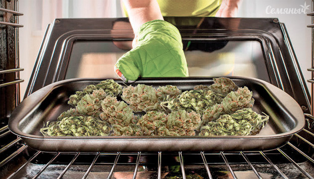 Все о сушке марихуаны Все о сушке каннабиса