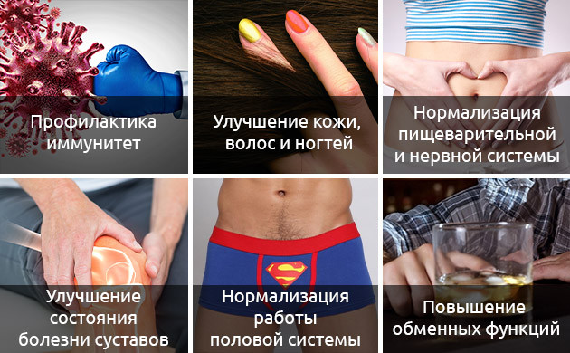 Вся польза конопляного урбеча Полезные свойства урбеча из семян конопли