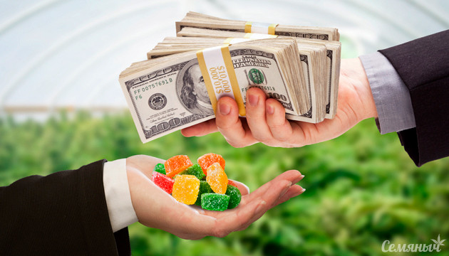 Миллионы долларов на производстве конопляного мармелада Мармелад с ТГК