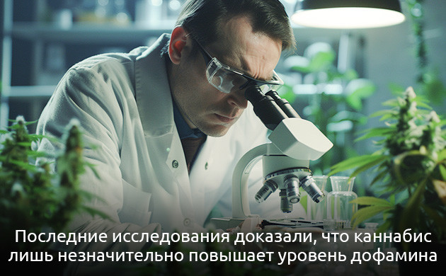 Исследования NIDA и каннабис Влияние каннабиса на дофамин