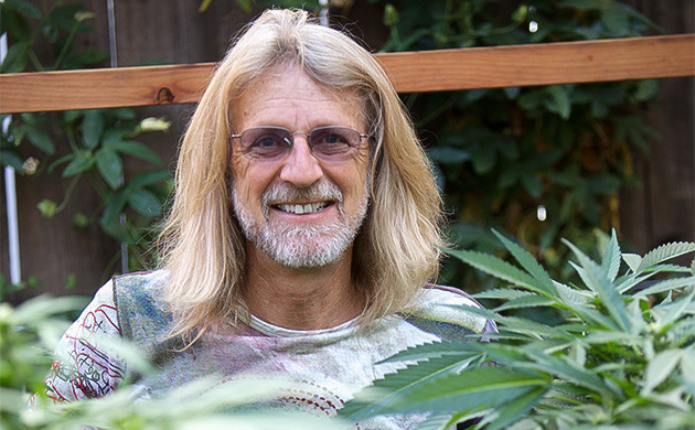 Джорджа Ван Паттена и кусты каннабиса