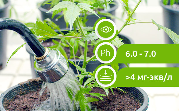 Критерии качества воды для полива Требования к воде для полива конопли