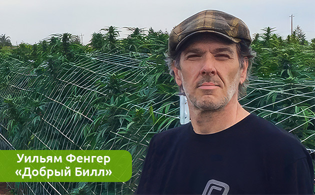 Рост популярности живой смолы: многообещающий метод добычи каннабиса Растущая популярность живой смолы: многообещающий метод извлечения каннабиса