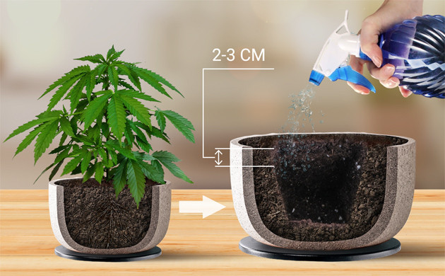 Как подготовить новый горшок для пересадки конопли Подготовка нового горшка для выращивания марихуаны