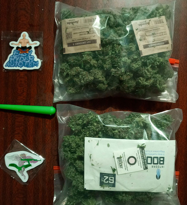 Харвест и впечатления от гровера Шишки конопли сорта Florida Sunrise Auto