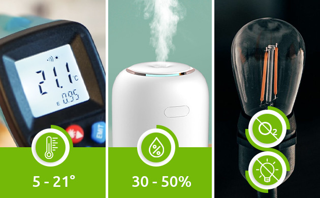 Условия выполнения пролечки Требования для правильной пролечки