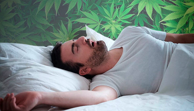 Применение каннабиса при бессоннице Каннабис и сон