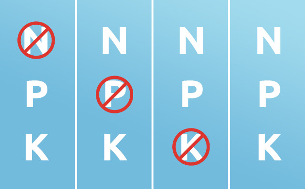 Методы исследования дефицита NPK Методы исследования недостатка NPK