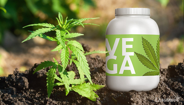 Какие удобрения нужны конопле для вегетации