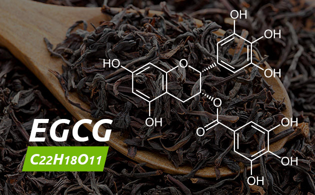 Химическое соединение epigallocatechin gallate Формула галлат эпигаллокатехина