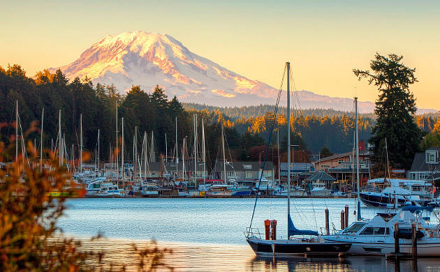 История сорта Grape Ape Происхождение сорта конопли Grape Ape