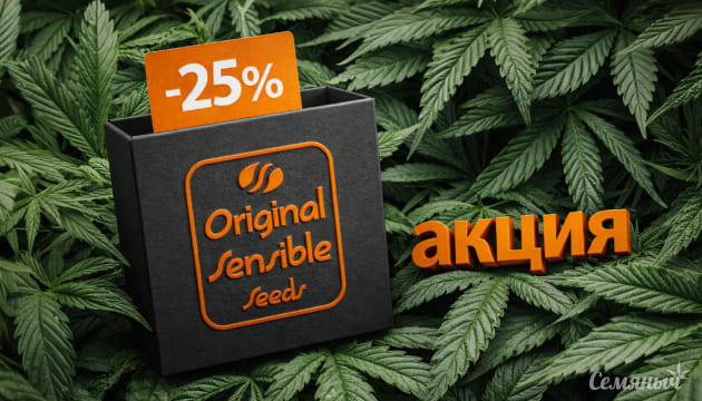 -25% на Original Sensible Seeds Акция на сидбанк Original Sensible Seeds