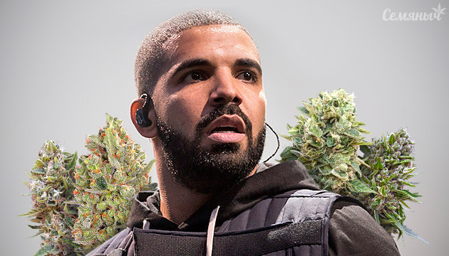 Марихуана от рэпера Дрейка Рэпер Дрейк