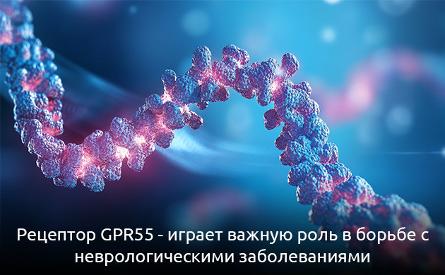 GPR55 и неврологические болезни Роль GPR55 в лечении
