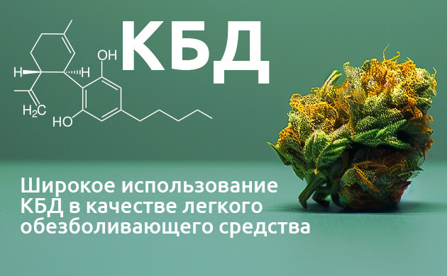 КБД: взаимодействие с рецепторами Механизмы обезболивания КБД