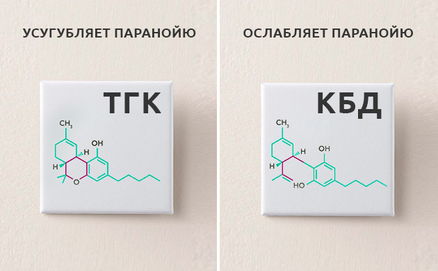 КБД ослабляет тревожность Влияние ТГК и КБД на организм
