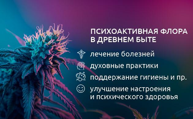 Психоактивные растения в древности: от шаманских ритуалов до медицицы Культурное значение психоактивных растений