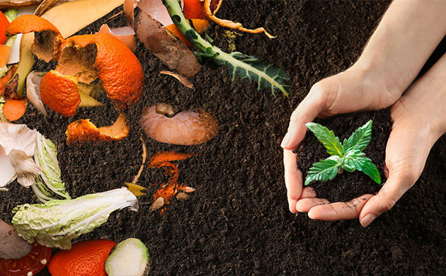 Преимущества домашнего компостирования Что такое компостирование