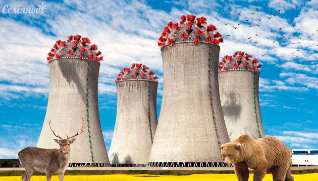 Как короновирус повлиял на природу Влияние коронавируса на природу