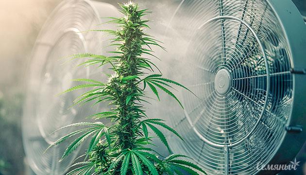 Cхема расчета вентиляции и воздухообмена в гроубоксе Расчет мощности вентиляции в гроубоксе