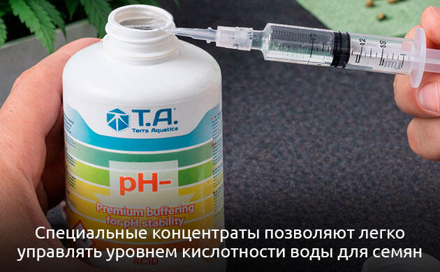 Как корректировать pH воды для лучшего прорастания семян каннабиса Как правильно регулировать pH воды