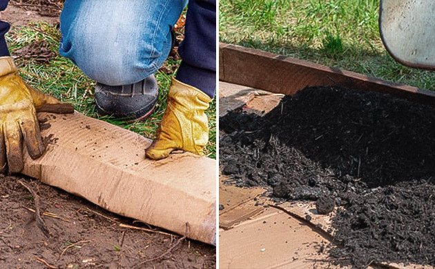 Почему выбрать No-till? Сравнение No-till и традиционного метода