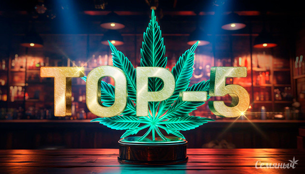 Сатива: яркость и энергия Медицинское применение сативной конопли